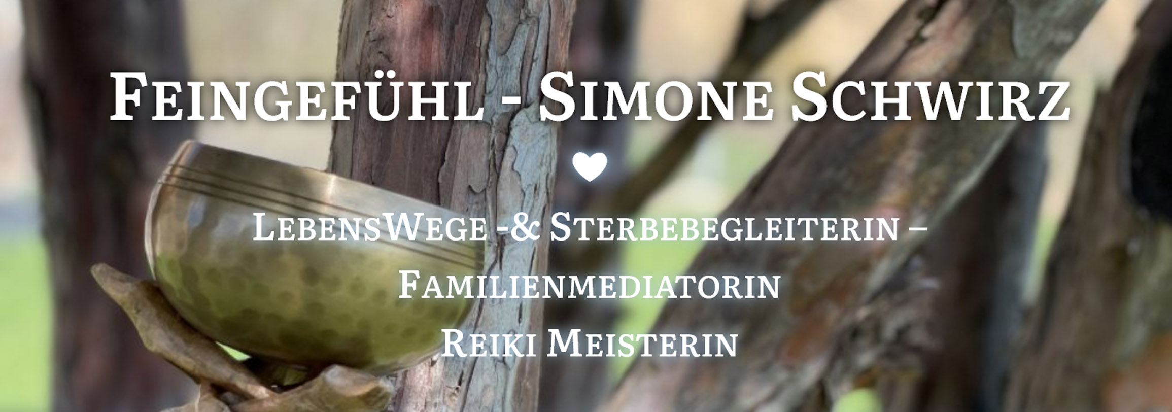 Neue Jahresgruppe 2025 Ausbildung in Handauflegen / Reikikurse