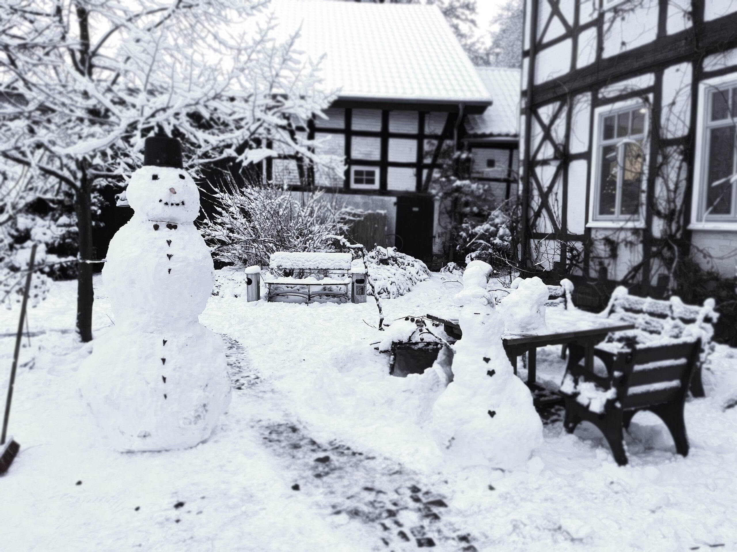 gartensaal_herbst_2000
