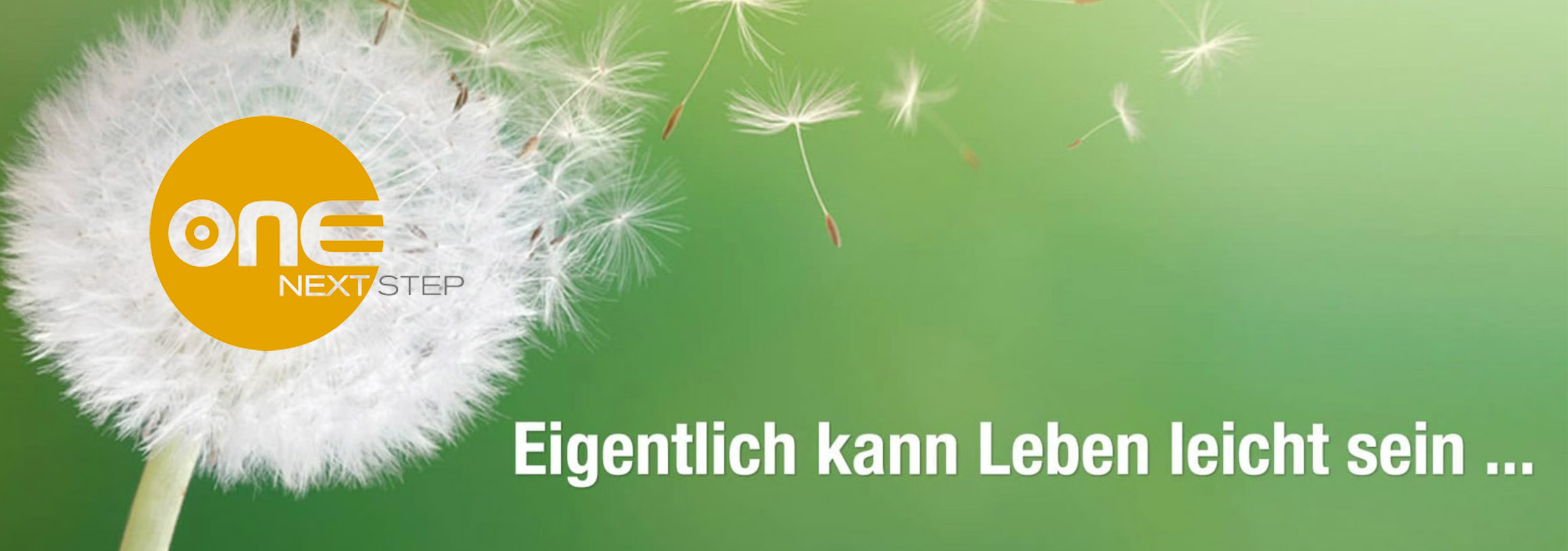 ONE-NEXT-STEP FESTIVAL